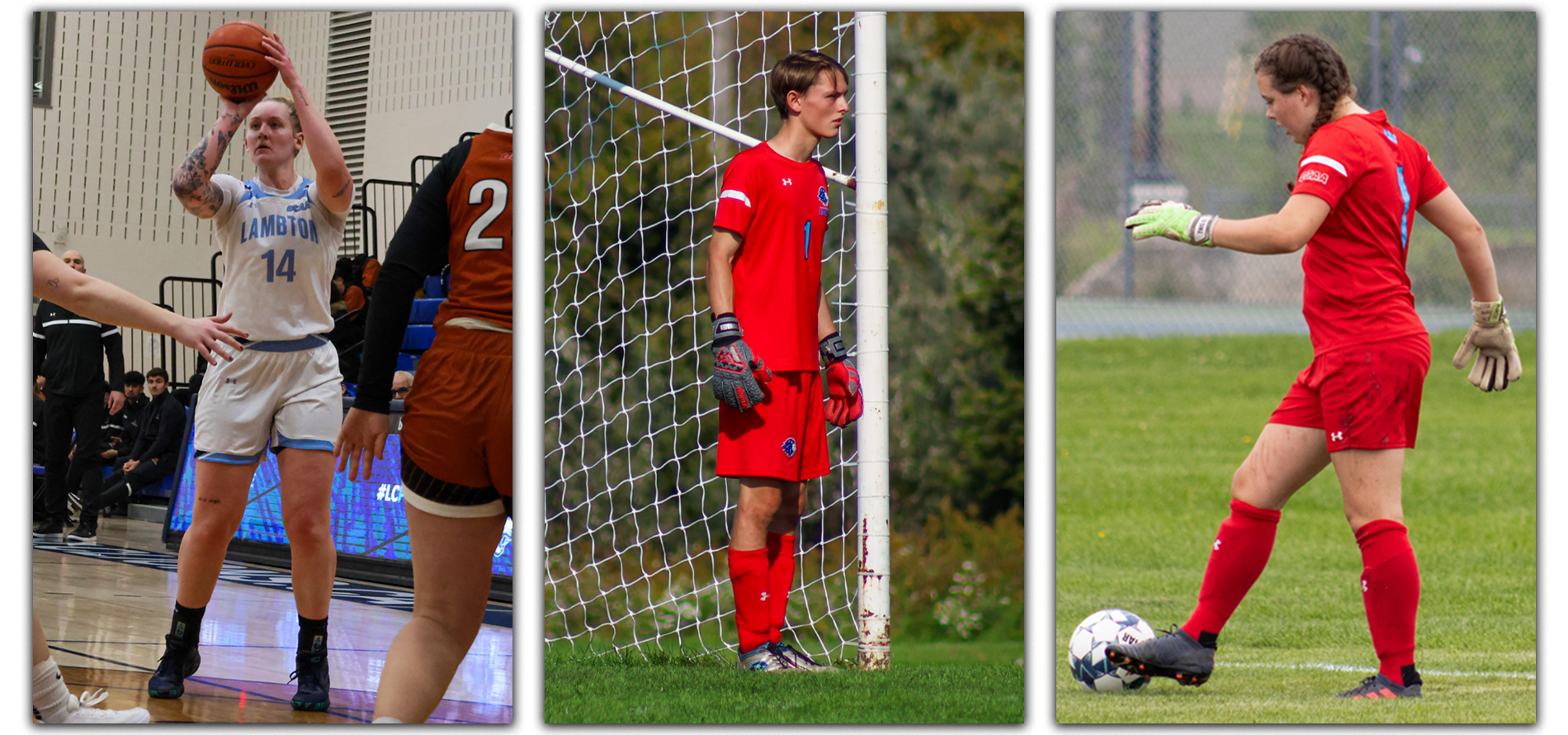 Crombeen, Goldsack, & Fischer Take Home Lambton Athlete of the Week Honours