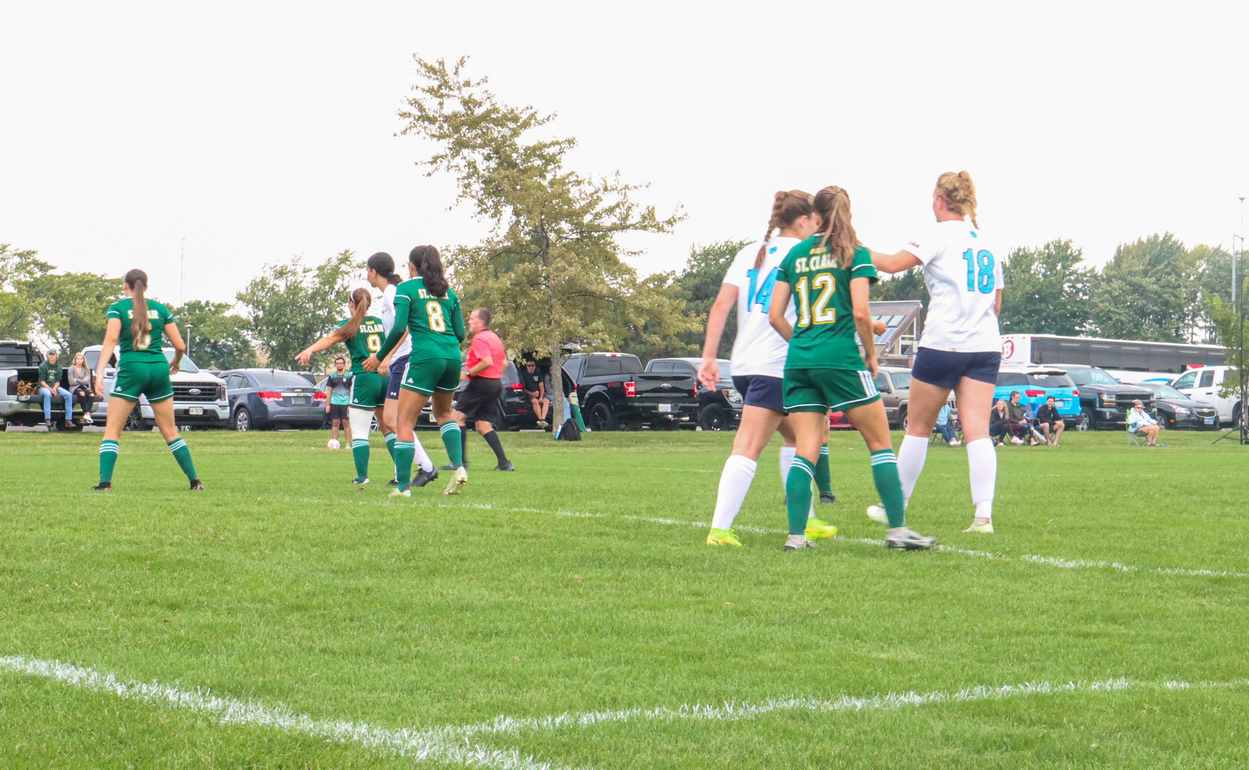 Lions Held Off Scoresheet in 3-0 Loss to St. Clair